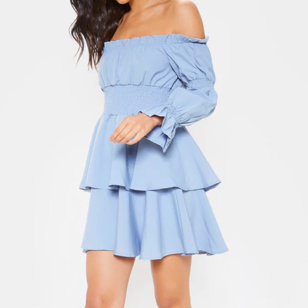 Blue Shirred Bardot Skater Dress